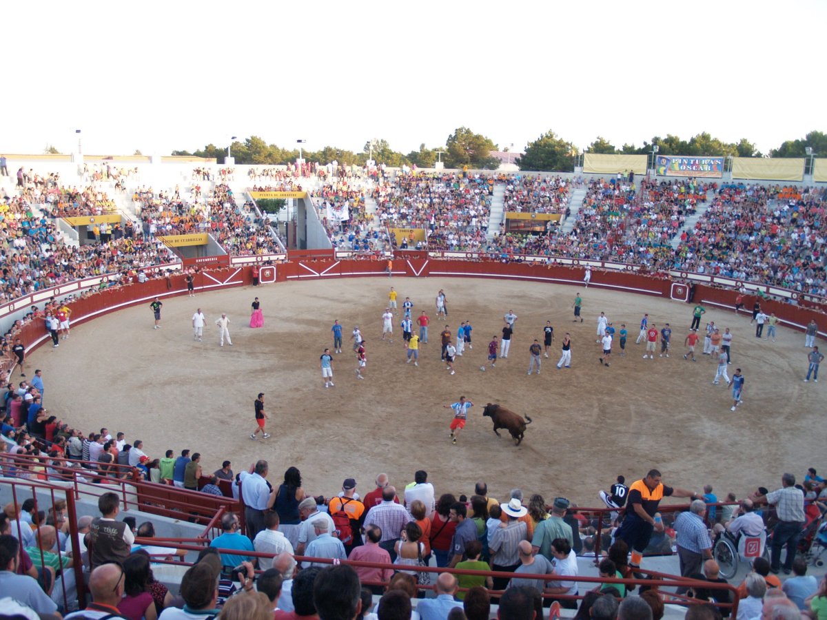 ENCIERRO VESPERTINO  9 DE JULIO DE 2010