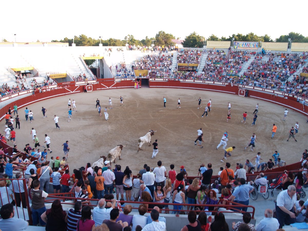 ENCIERRO VESPERTINO, 9 DE JULIO DE 2010