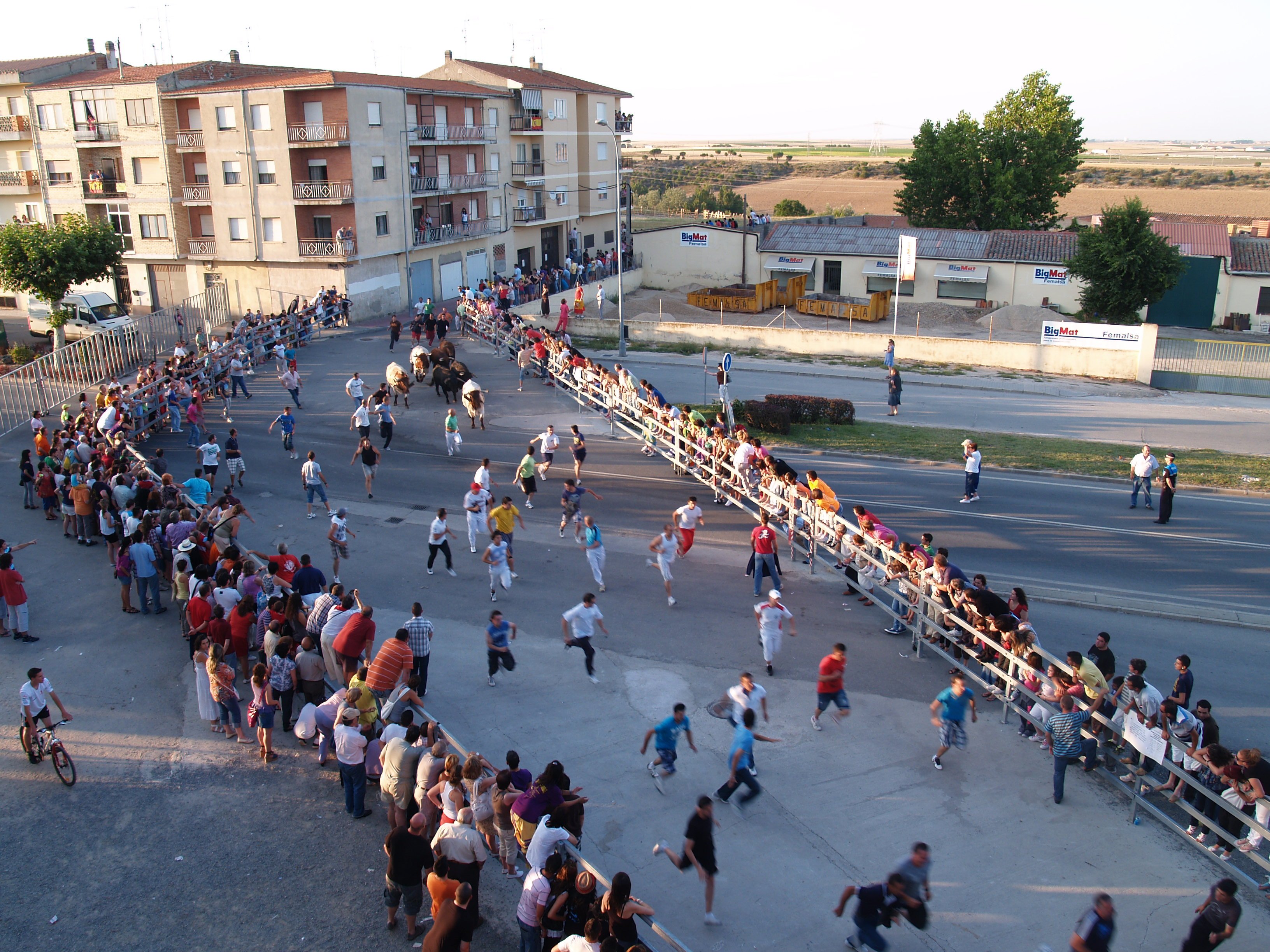 ENCIERRO VESPERTINO, 9 DE JULIO DE 2010
