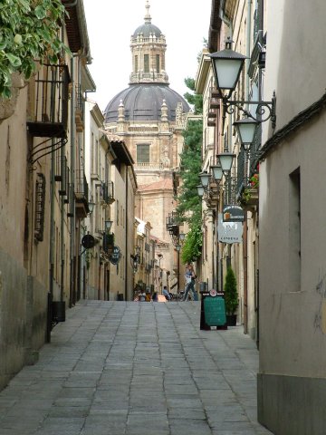 Calle céntrica del barrio universitario