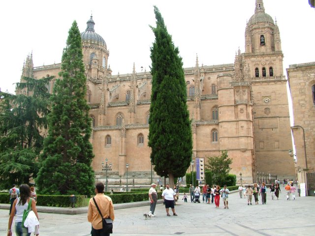 Vista exterior de la Catedral Nueva desde la parte norte
